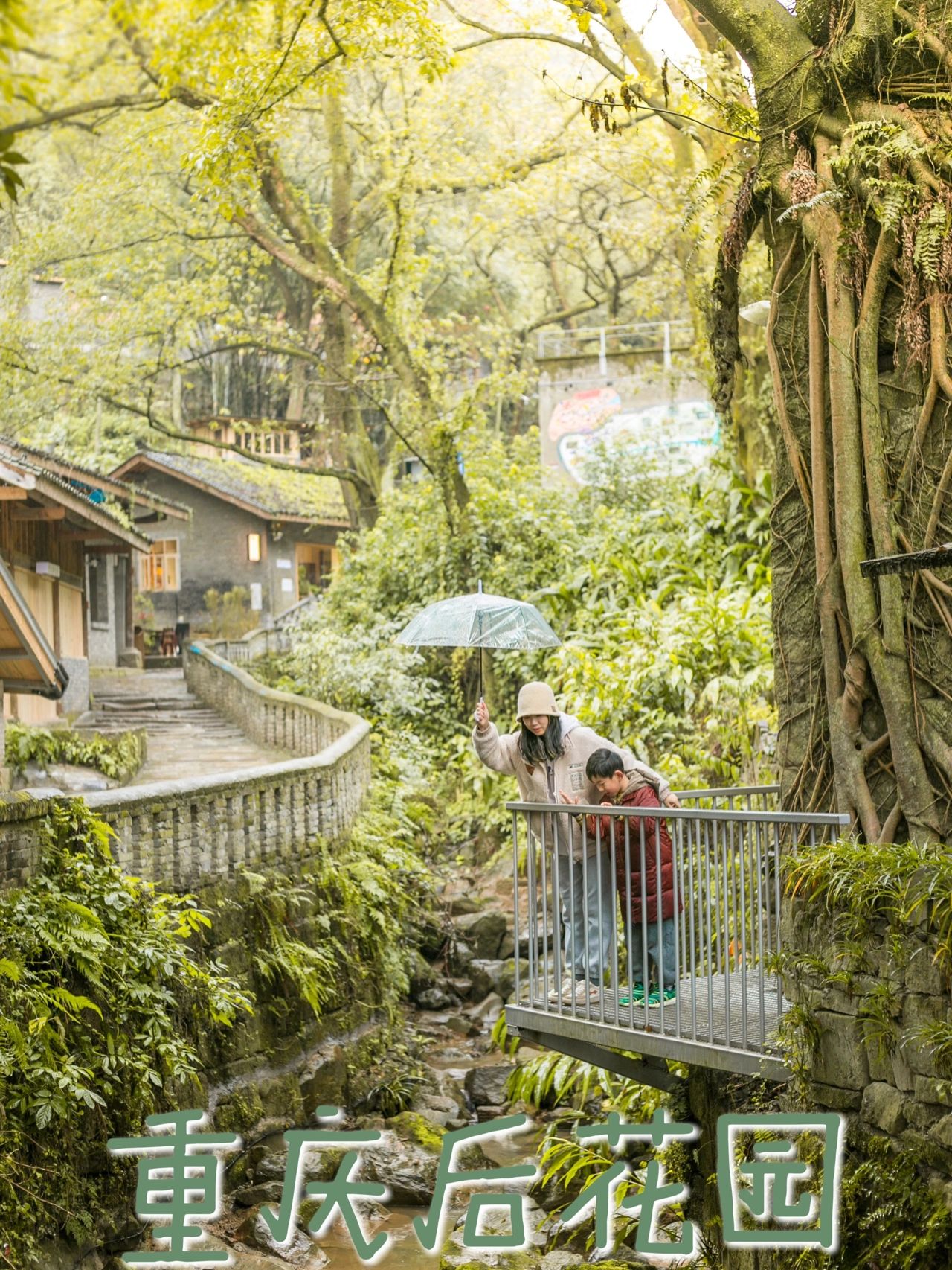 重庆遛娃|被古树包裹的村落|旅游攻略