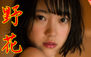 我鸠占鹊巢多年，临死之际才恍然大悟，原来自己只是一个替身。