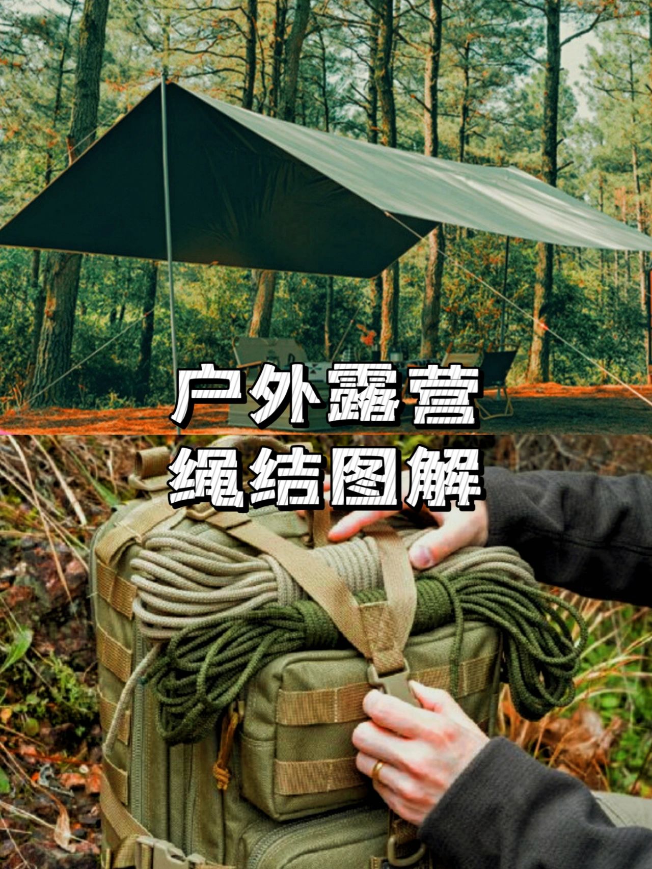 巧用绳结，让你的营地更抗风雨。