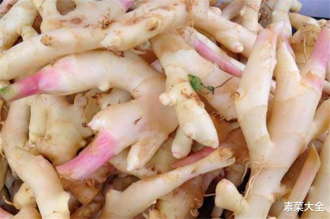 沙姜因其独特的辛香味征服不少食客, 和生姜有何不同之处呢?