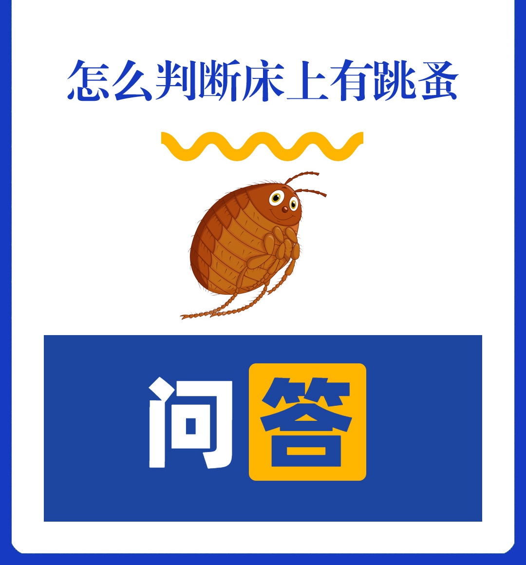 判断床上有跳蚤#跳蚤长什么样#