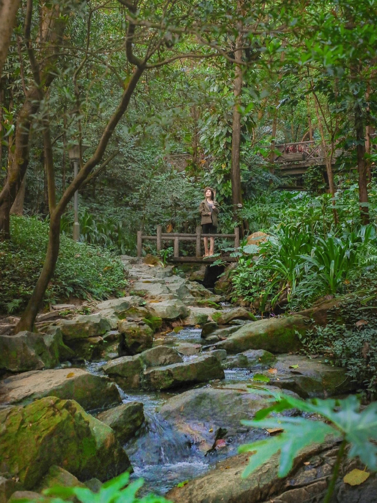 广州市区徒步溯溪好去处一秒穿越热带雨林