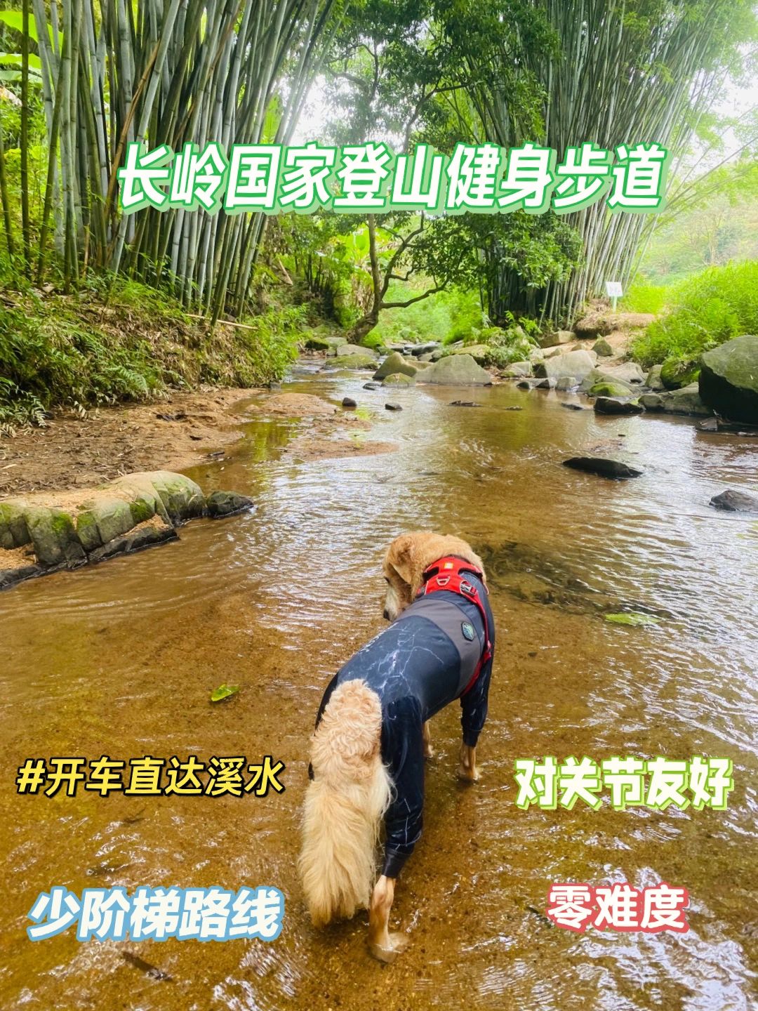 长岭国家登山健身步道