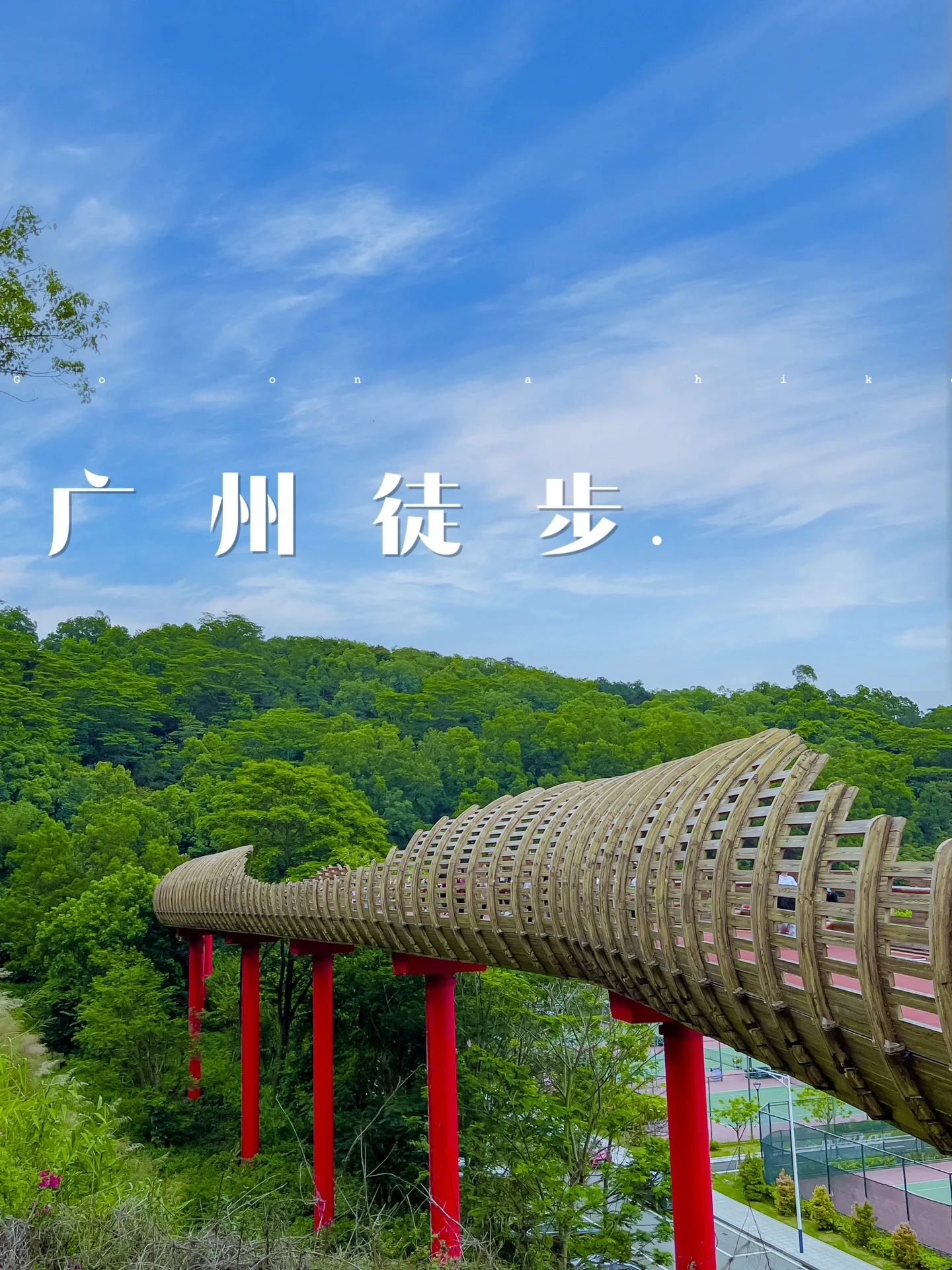 广州人不知道的空中步道❗️穿越森林❗️