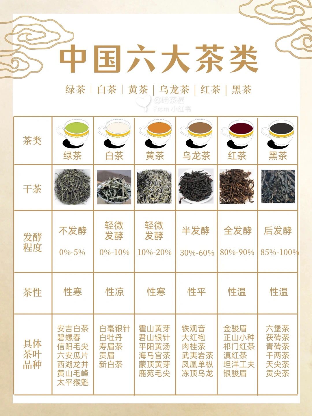 茶叶知识#碧螺春是什么茶#