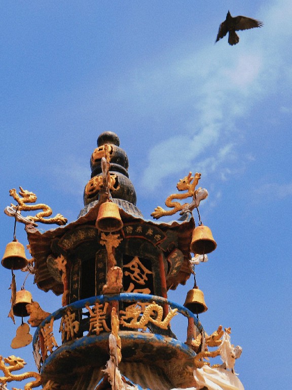 贺兰山下小森林南寺 自驾游