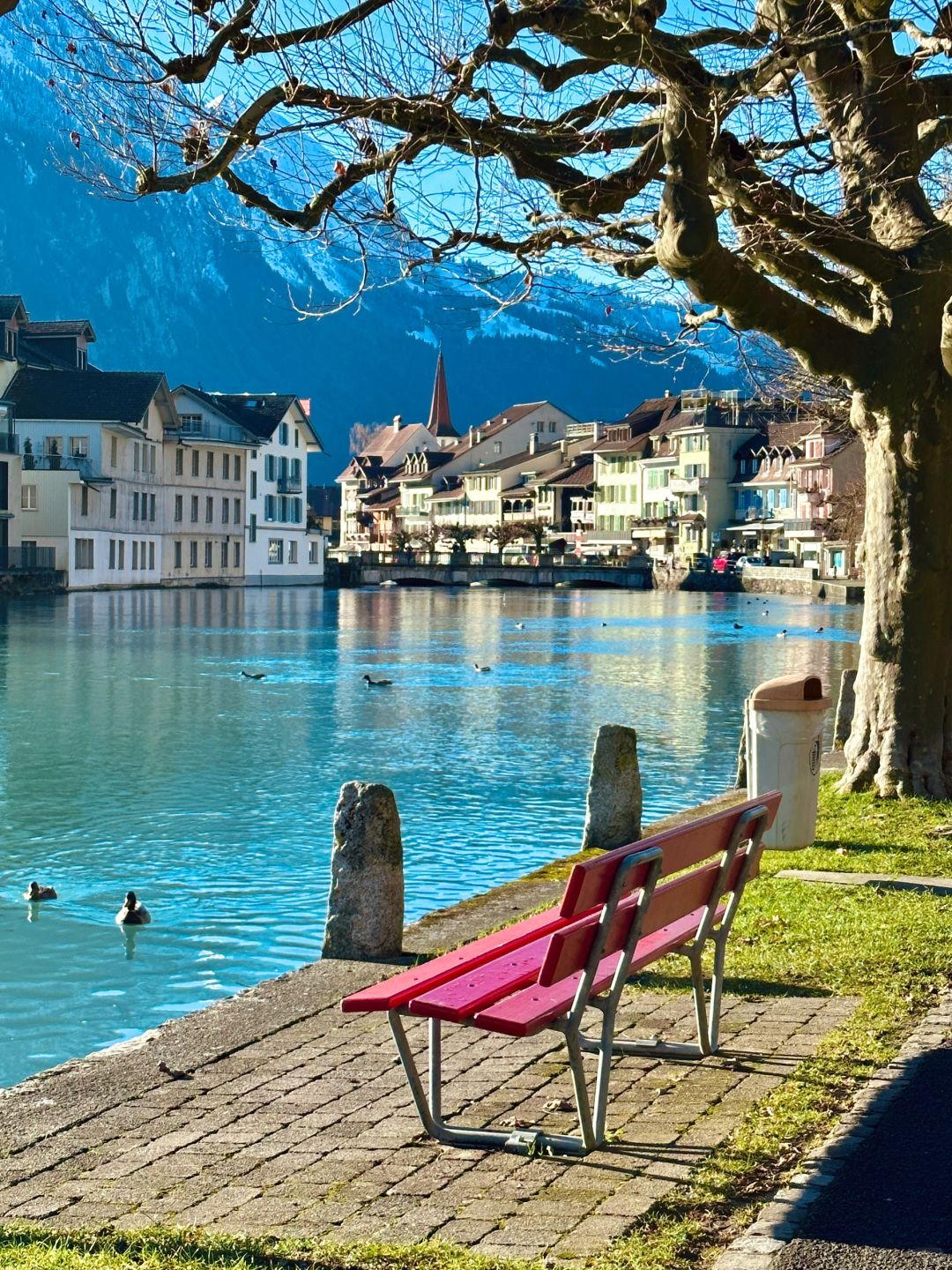 这就是live图存在的意义🏔️雪山下小镇生活
这次欧洲旅行印象很深的
就是在瑞