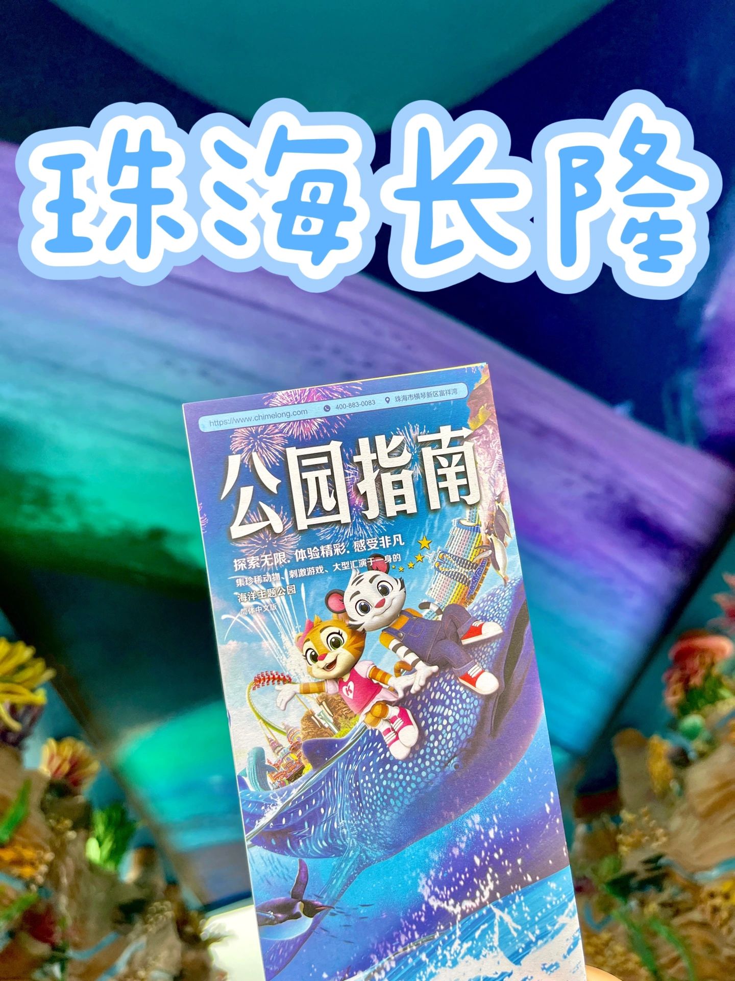 珠海长隆海洋王国|游玩必备攻略指南