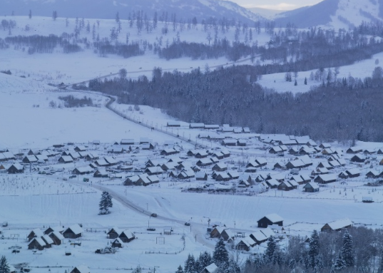 2024年的第一站，阿勒泰·禾木村赏雪，非常充实完美
上午登观景台赏雪发呆，伪装
