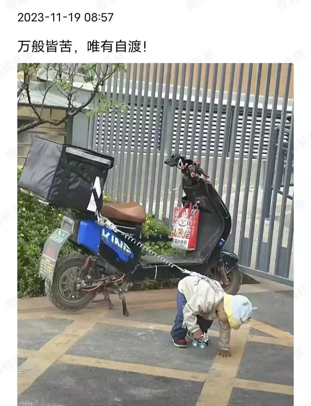 这也是真实的活着状态。