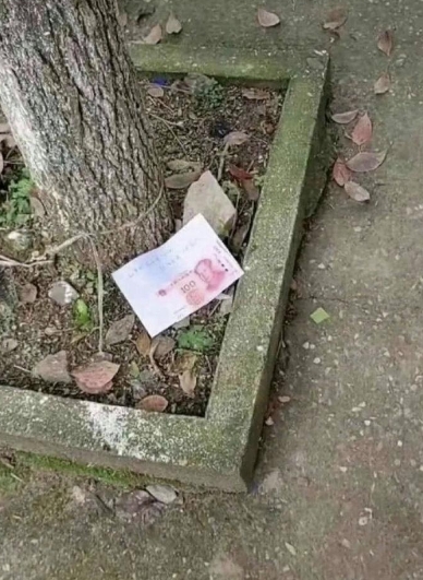 好家伙，这钱谁敢捡啊