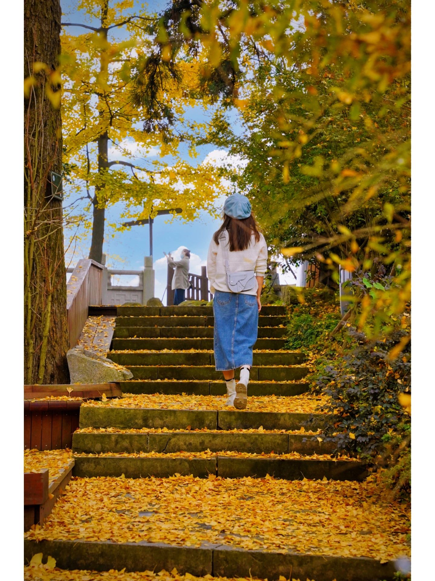 藏在杭州最美寺庙里的百年银杏美哭了