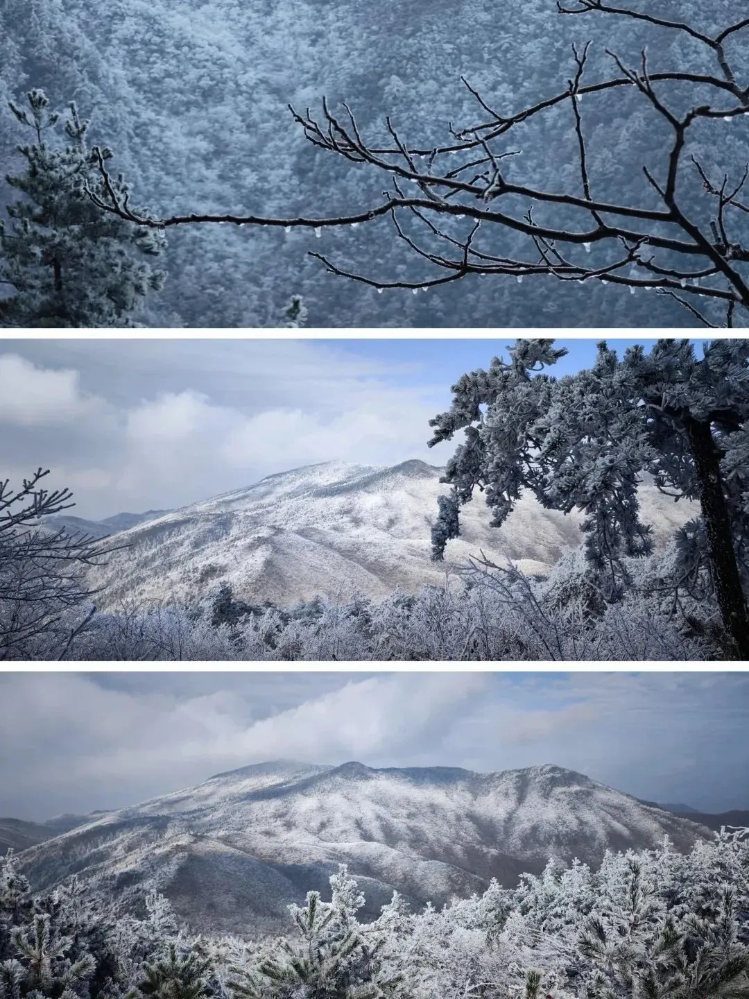 钱塘区徒步昌北古道，赏绝美雾凇雪景