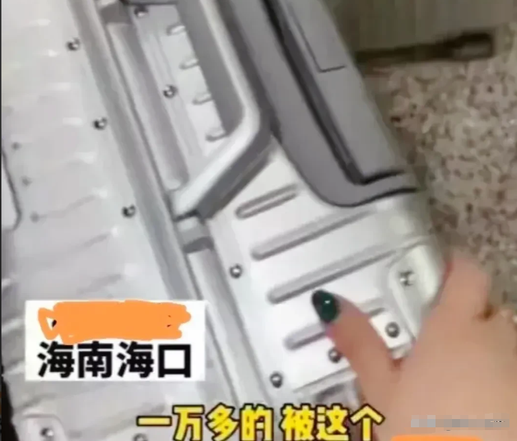 海南，一名女子携带拉杆箱乘坐飞机，在办理完托运的手续后，乘机飞往目的地。然而，当