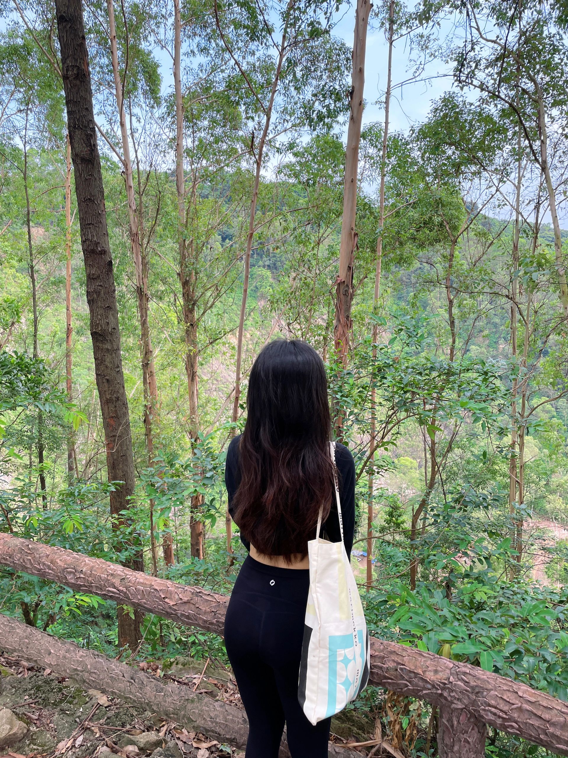 少呆空调房，多出来户外｜全程林间路线分享