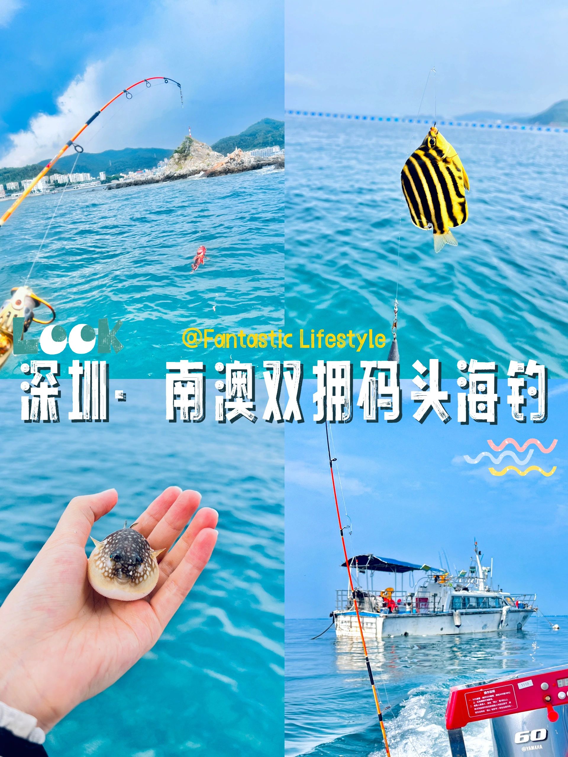 深圳|南澳双拥码头出海钓鱼尊嘟推荐‼️