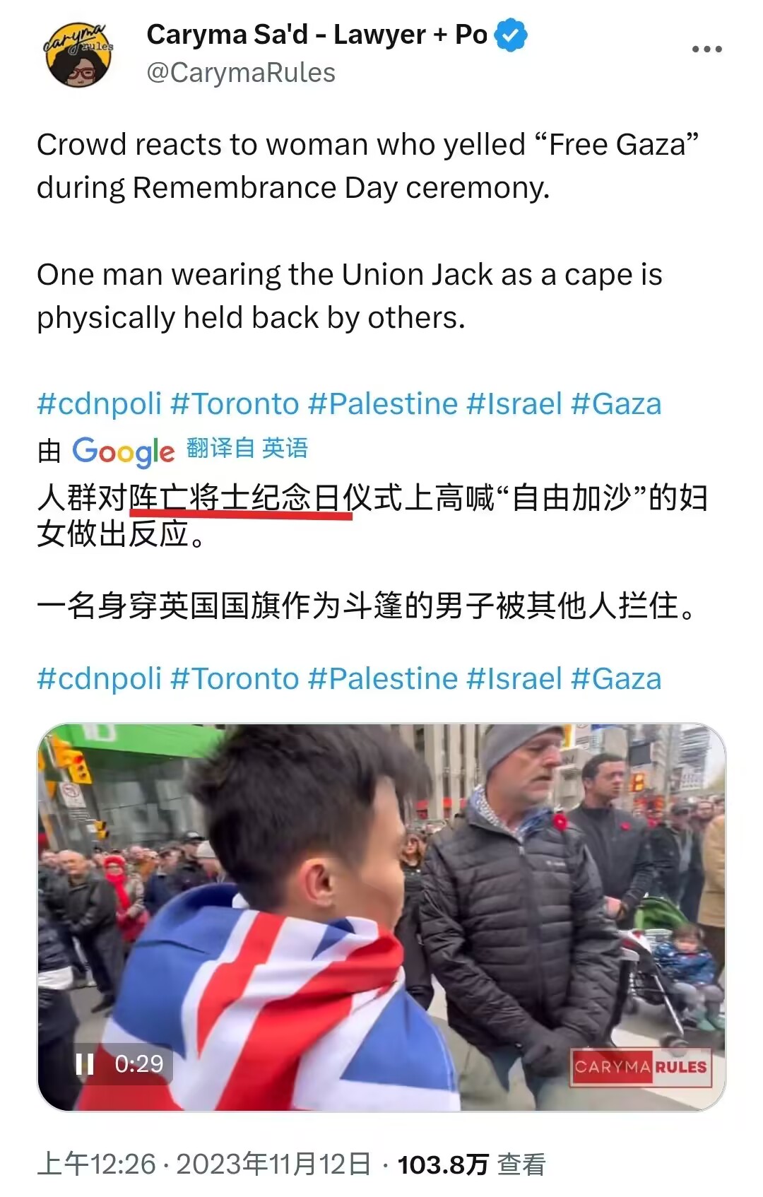 这些为了尽孝道，而捍卫曾经侵略中国领土而死掉的英国军人的职业反贼，来看看这只贱种