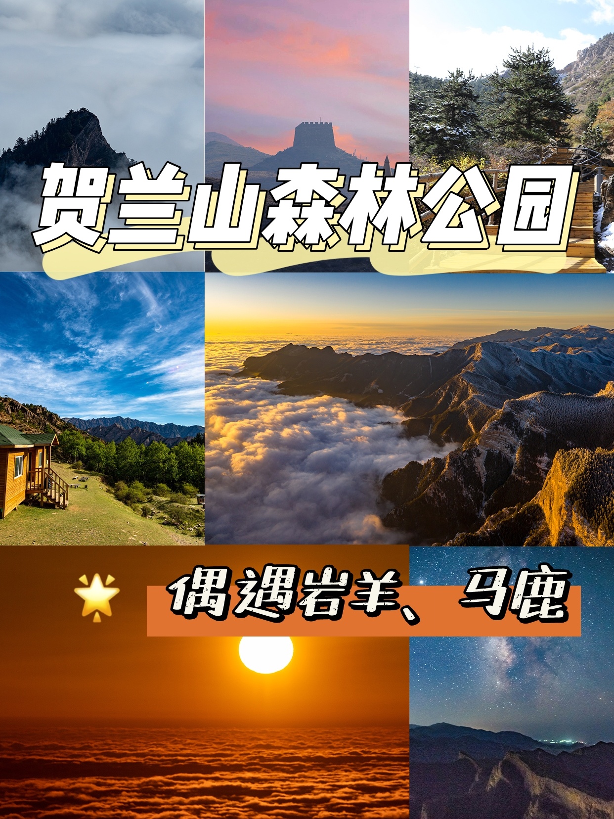 宁夏🌿日亲子游纯玩/沙坡头