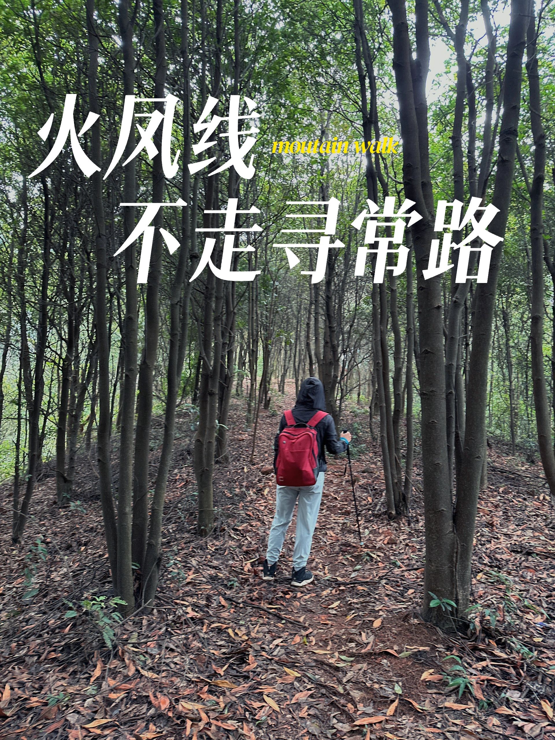 hiking ｜火凤线不走寻常路