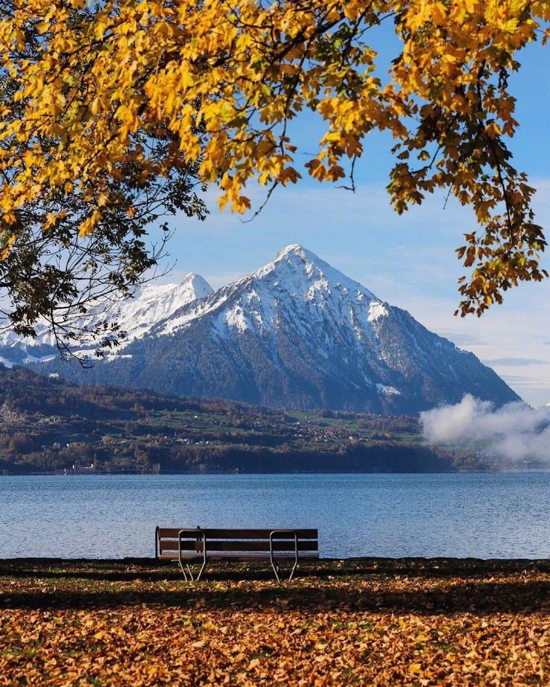 人生建议：9-11月一定要去瑞士看秋天