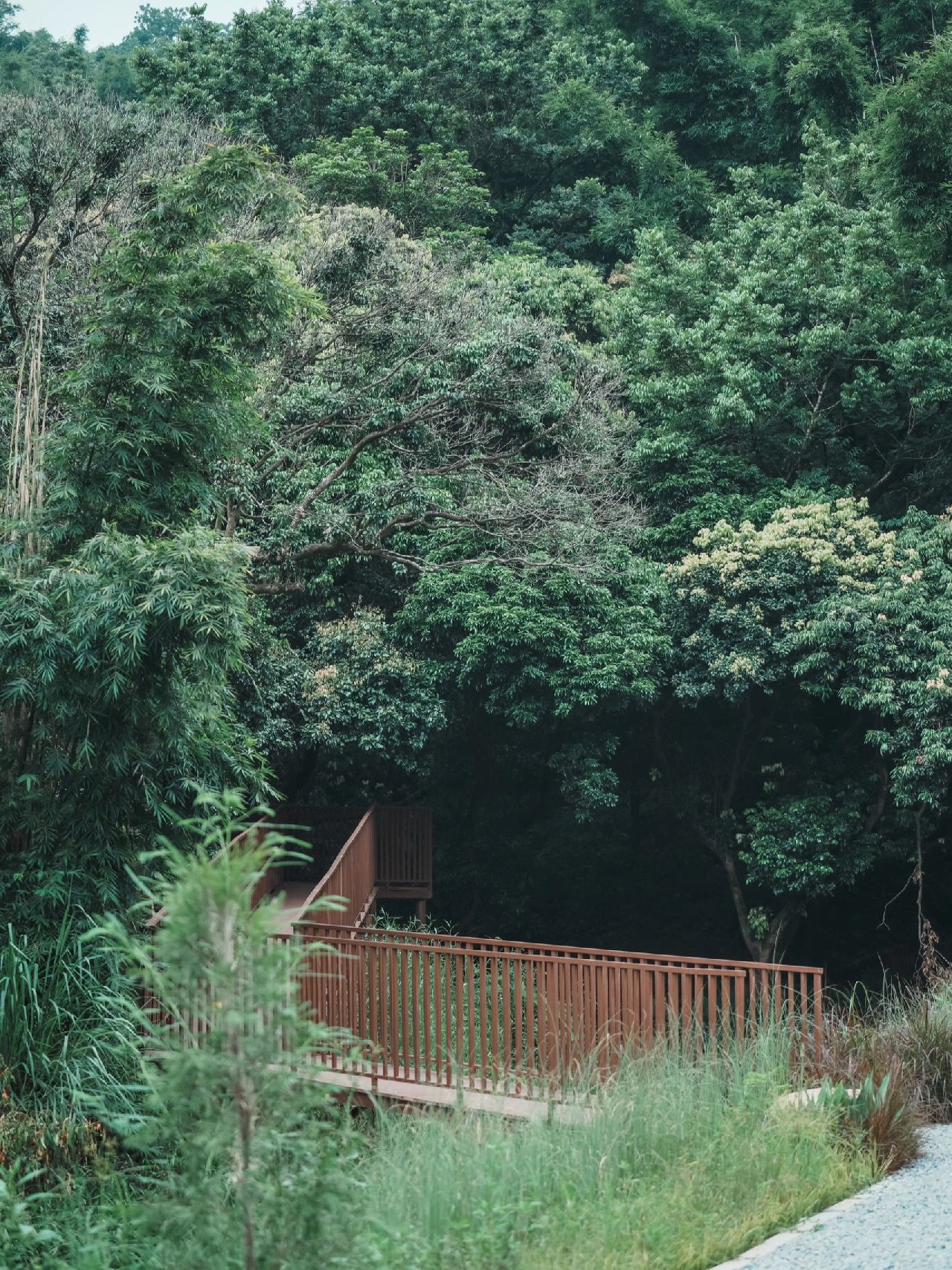 广州黄埔竹林小溪露营地推荐