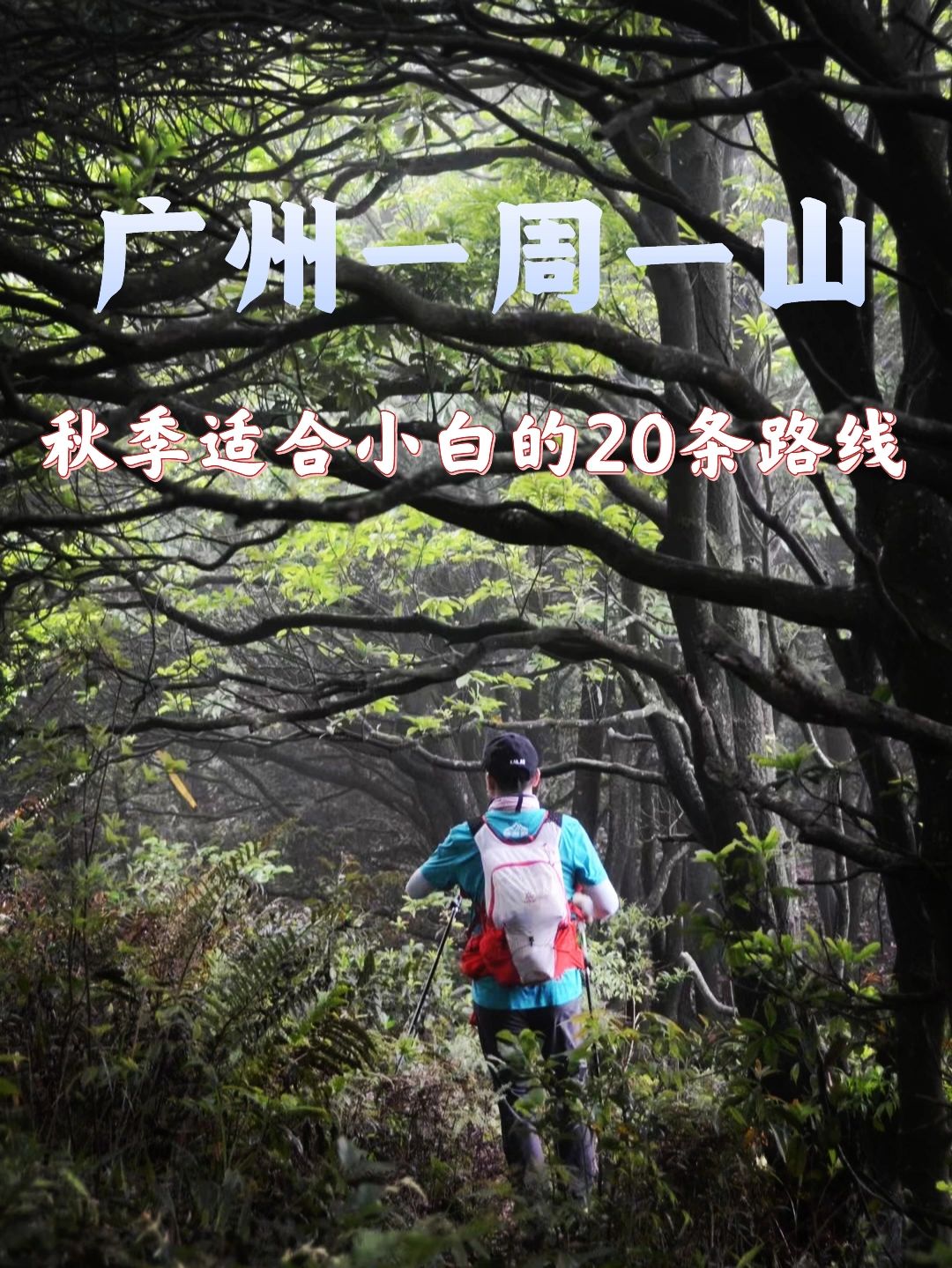 广州周边徒步🍂秋季适合小白的20条路线