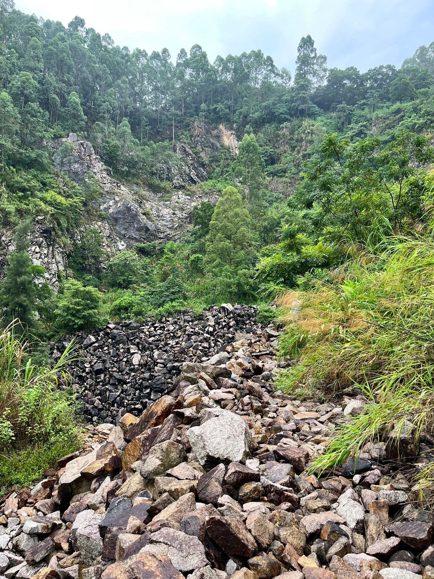 广州徒步｜六片山环线真的很爱丽丝仙境