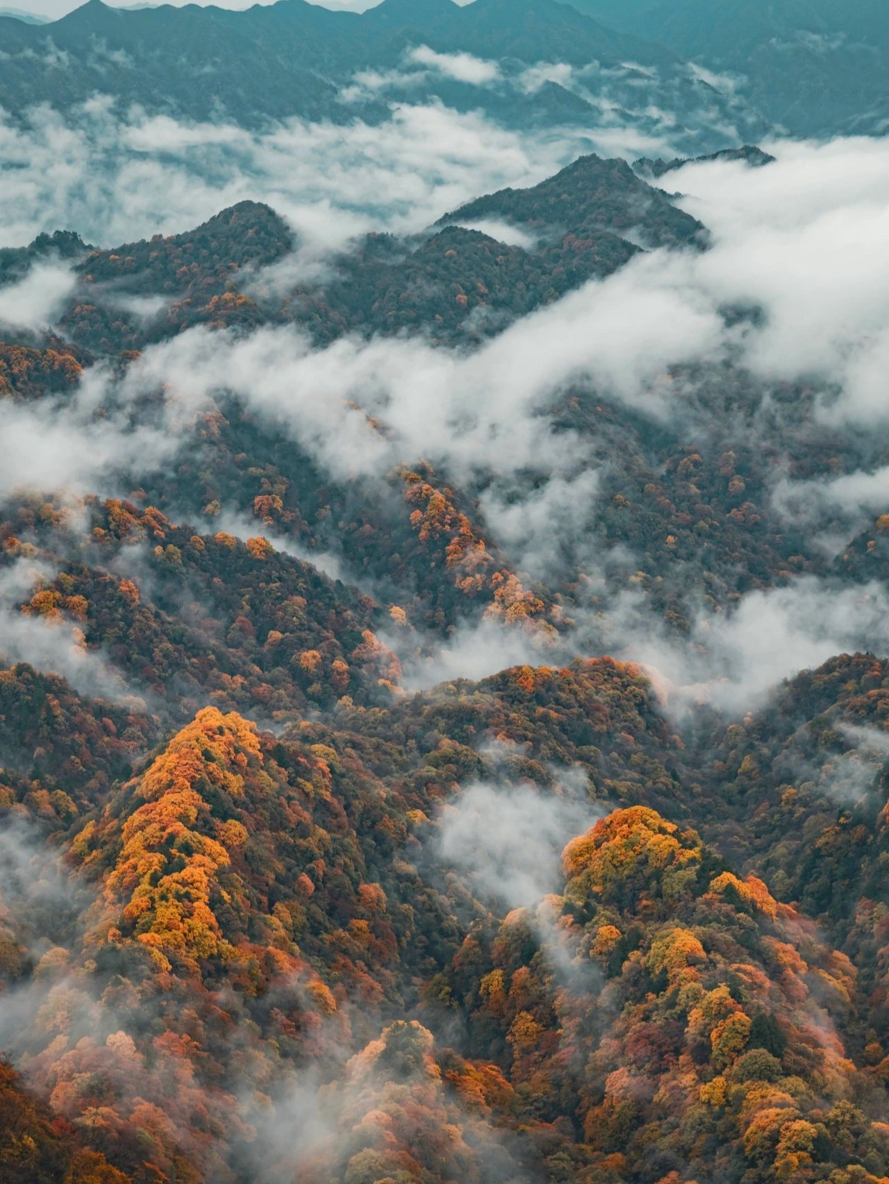 旅行日记 巴中之光雾山