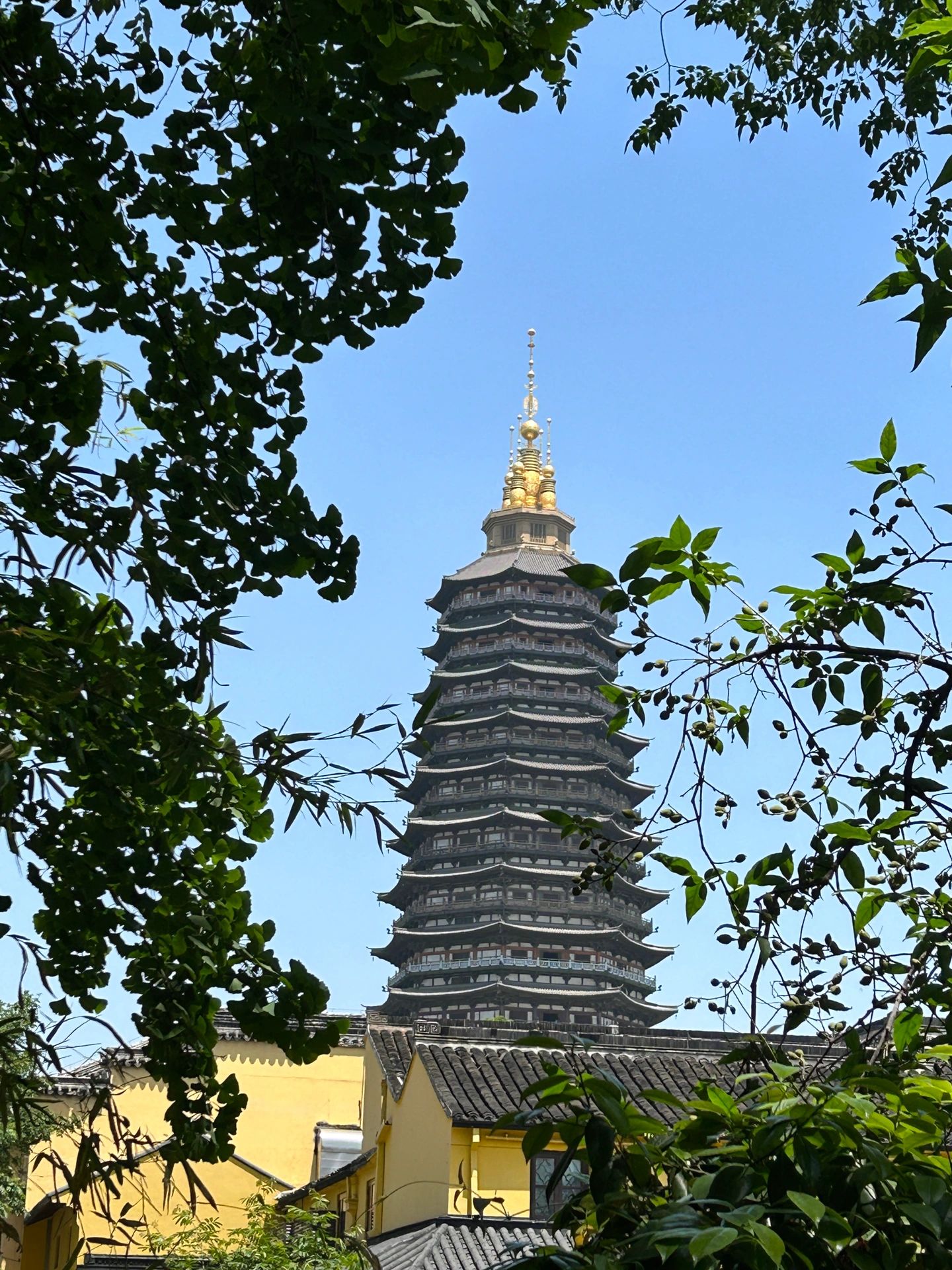 特种兵旅游之常州