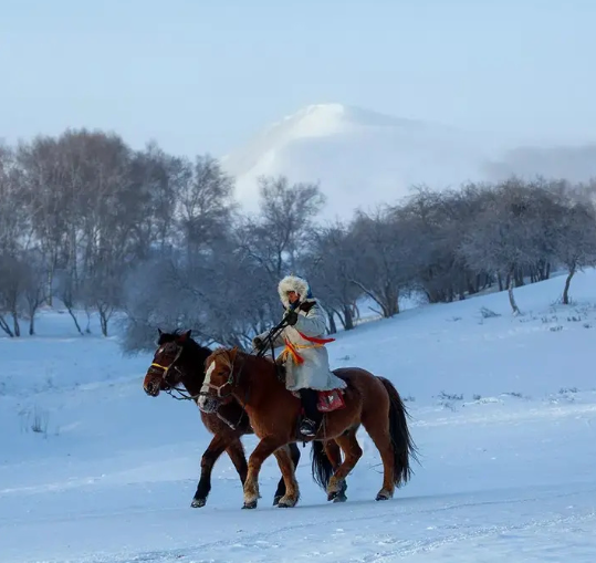 陆游《大雪》诗曰：“大雪江南见未曾，今年方始是严凝。巧穿帘罅如相觅，重压林梢欲不