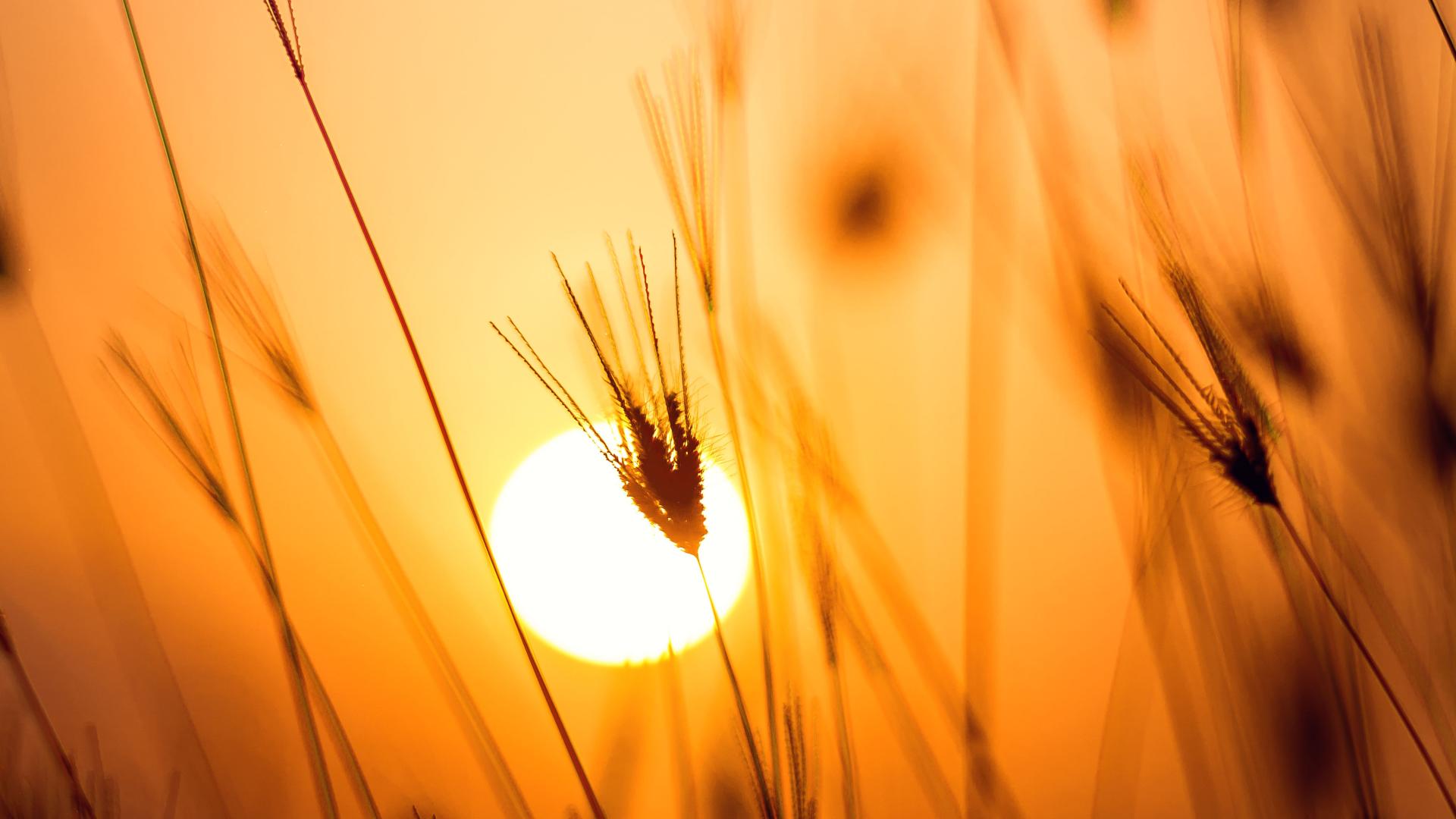 吃了五年牢饭的男人，竟然会怨恨不离不弃的妻子，心寒！