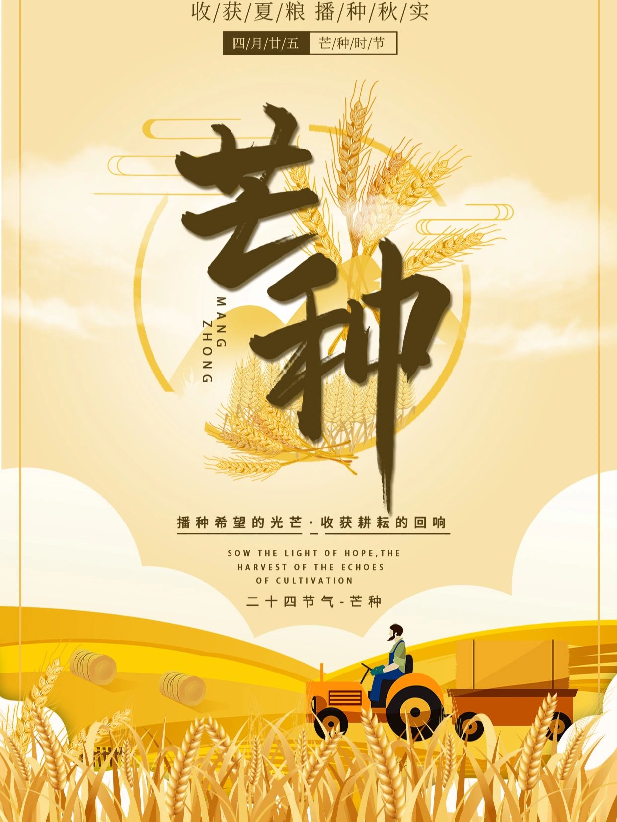 芒种知识#芒种节气的含义#