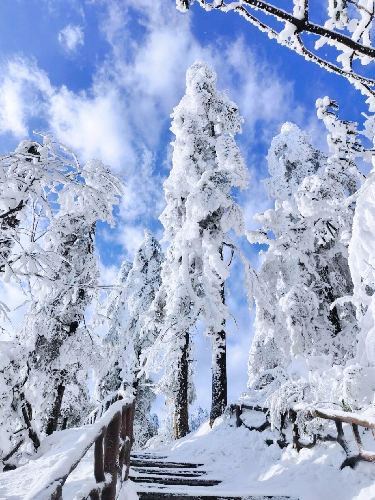 太全啦！成都周边30个赏雪宝藏地