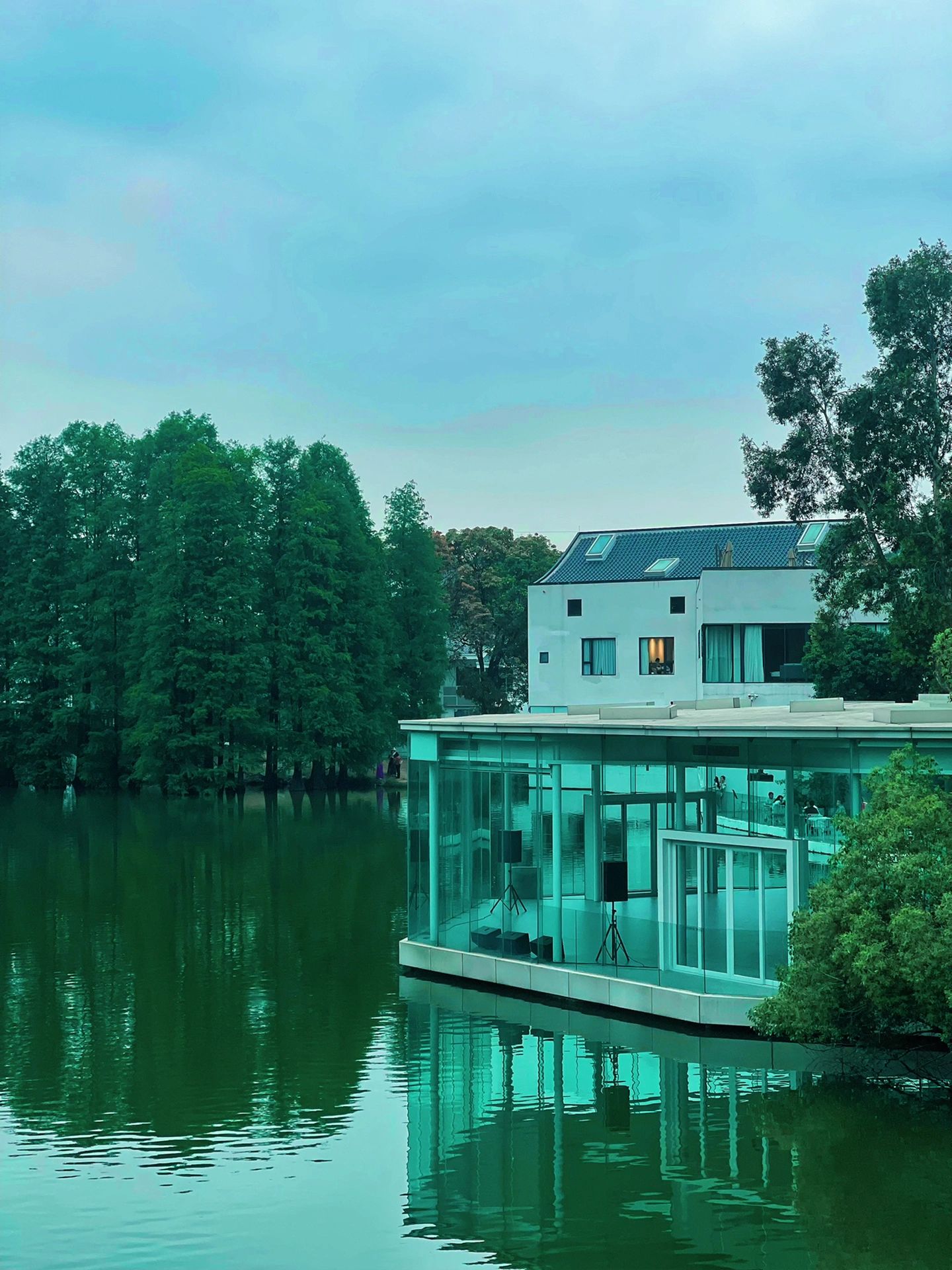 周末好去处｜华南植物园｜游玩露营必去