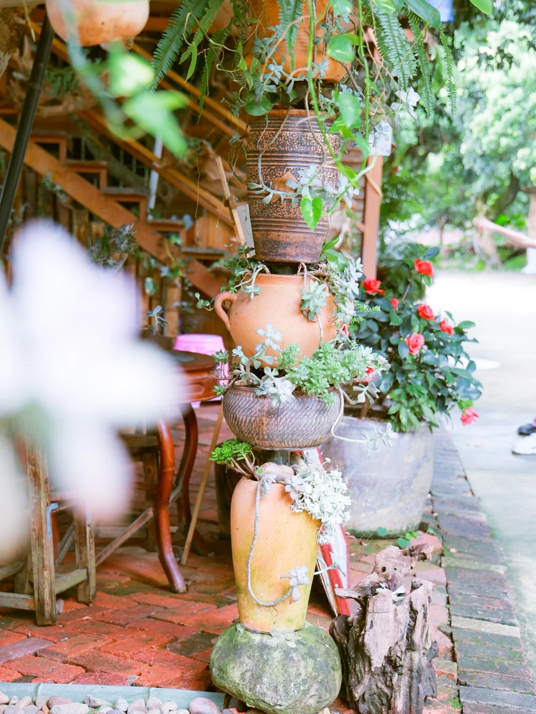 在广州｜人少景美🌳这里可真舒服🍃