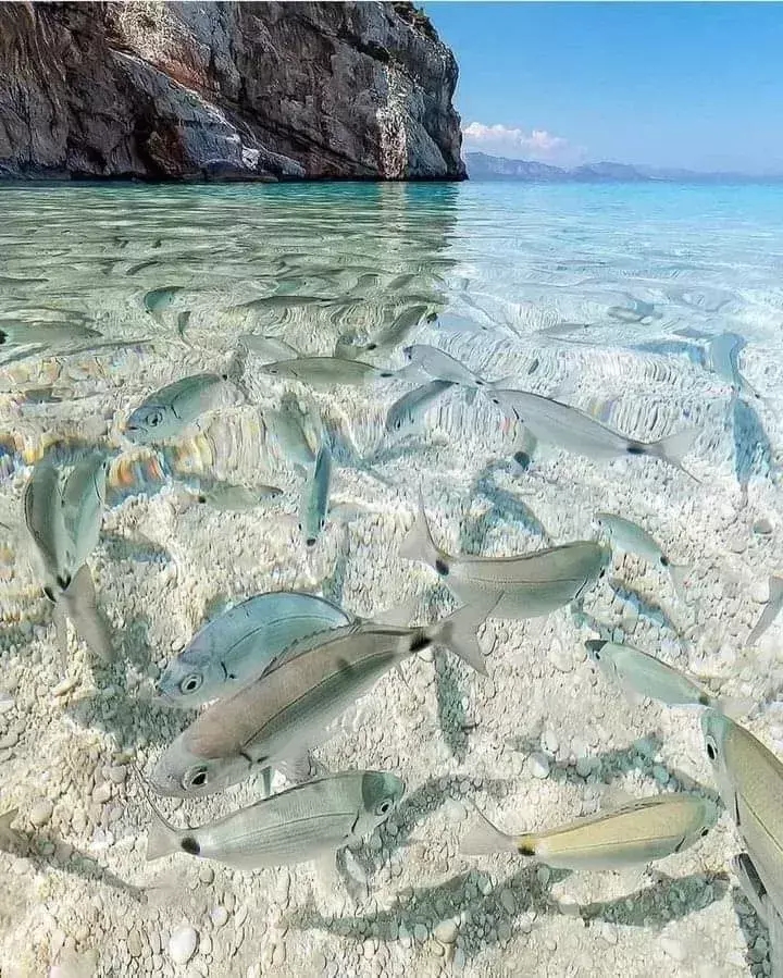 意大利海边，这是真的不是假的！