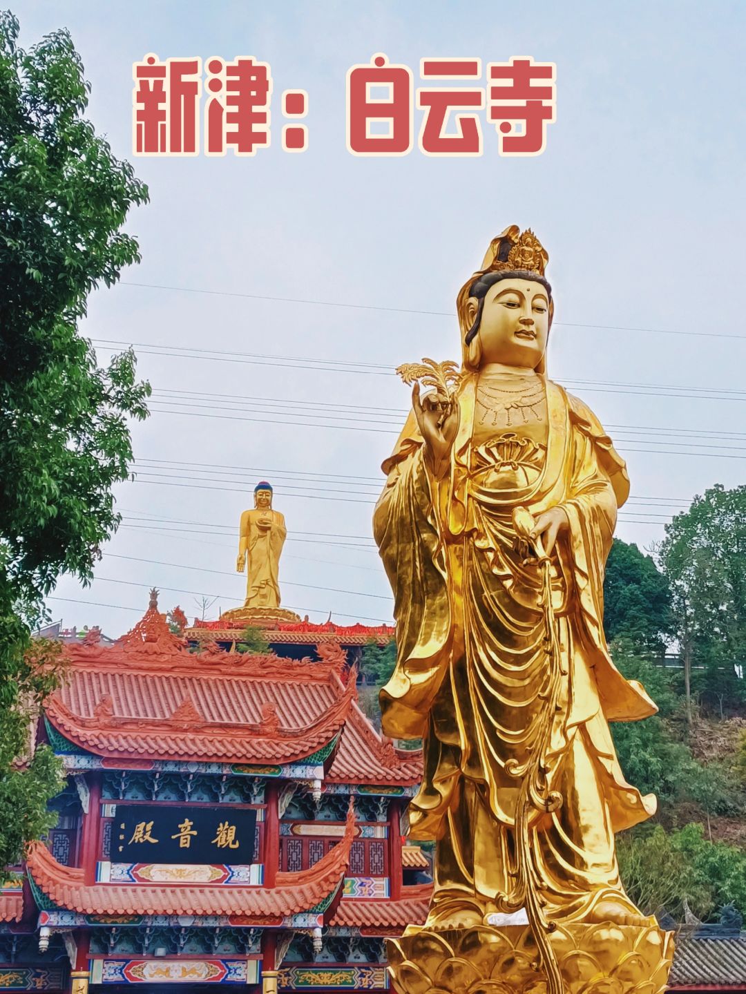成都最具“赛博朋克”感的寺庙
在成都新津
有一座寺庙格外显眼
巨大佛像立于平原少
