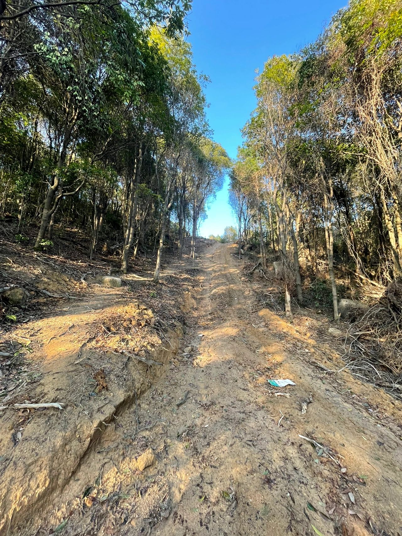 徒步花都区了哥髻～尽收九龙湖全景