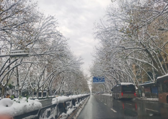 郑州街道雪景！