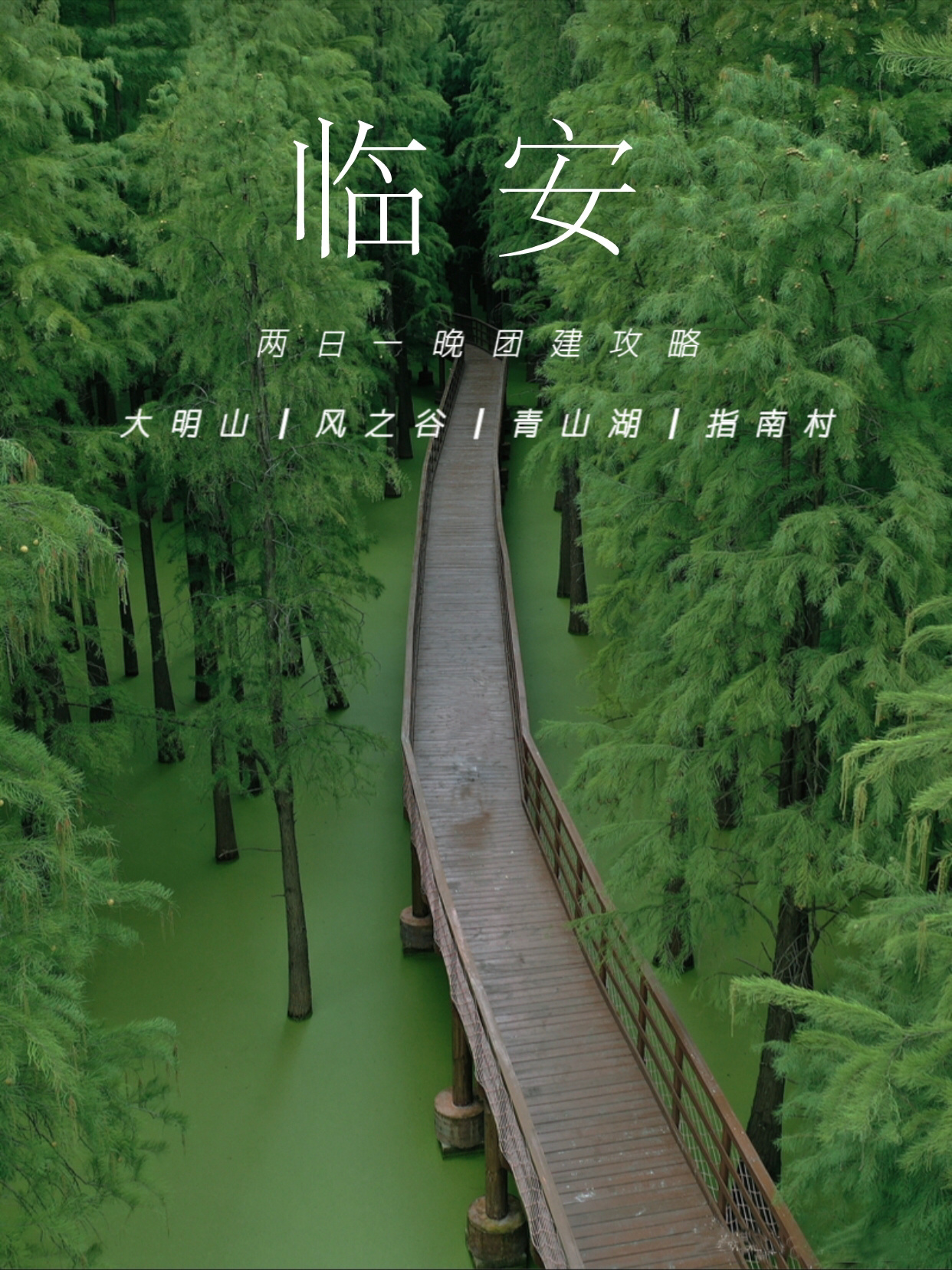 临安-我愿称它为国内现实版绿野仙踪宝地