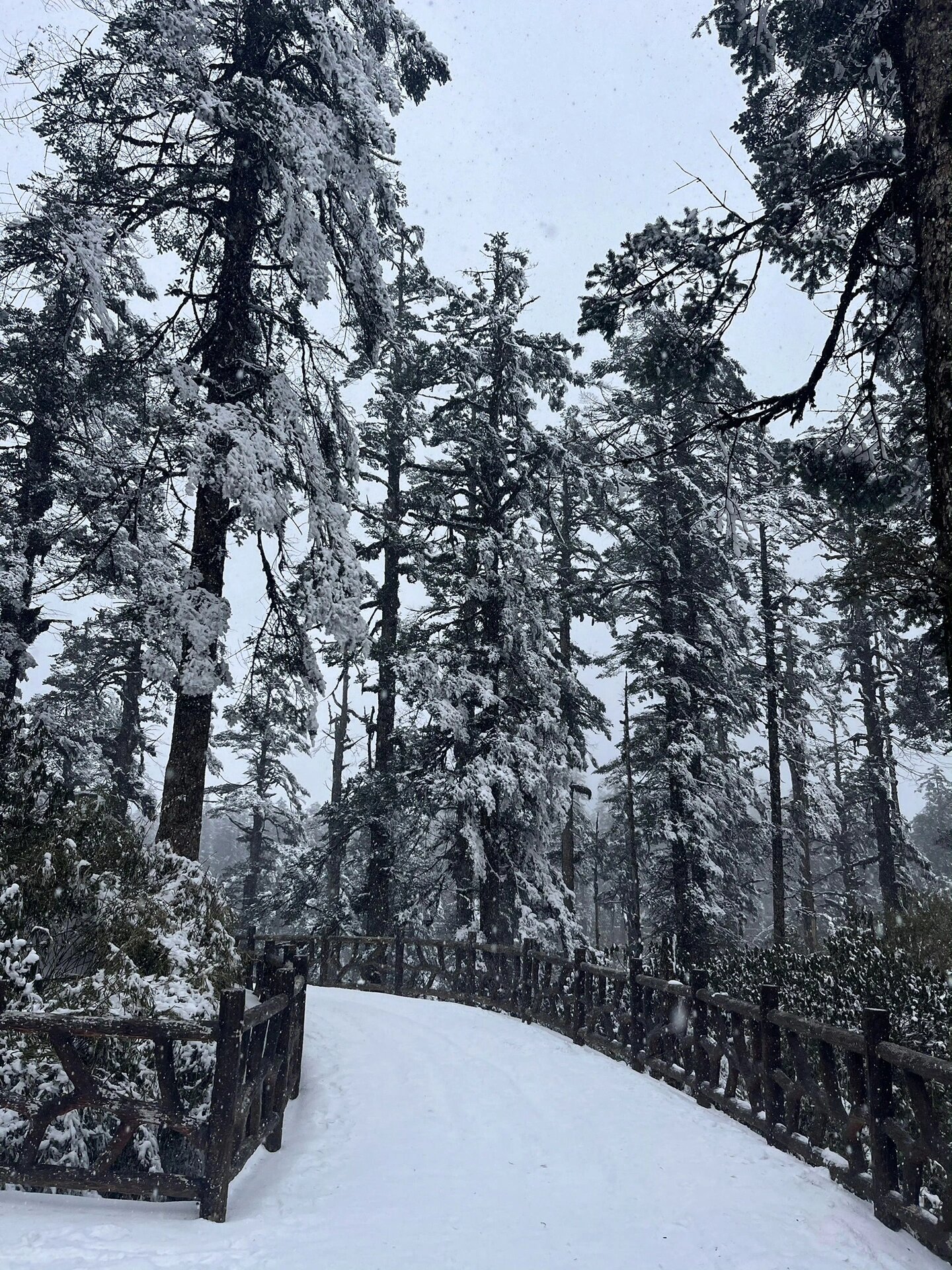 瓦屋山下雪了 这才是live的意义