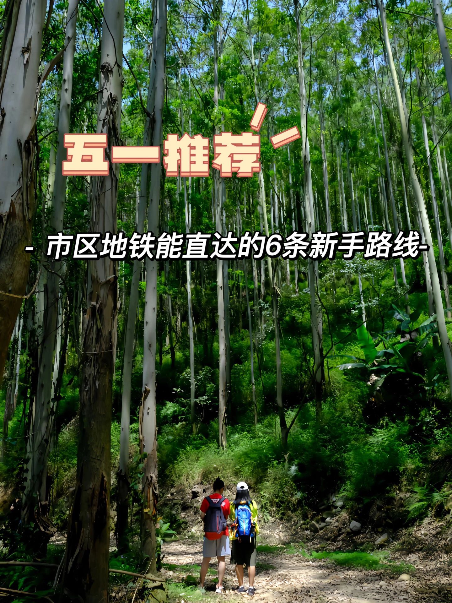 这6条徒步路线🚇地铁可直达