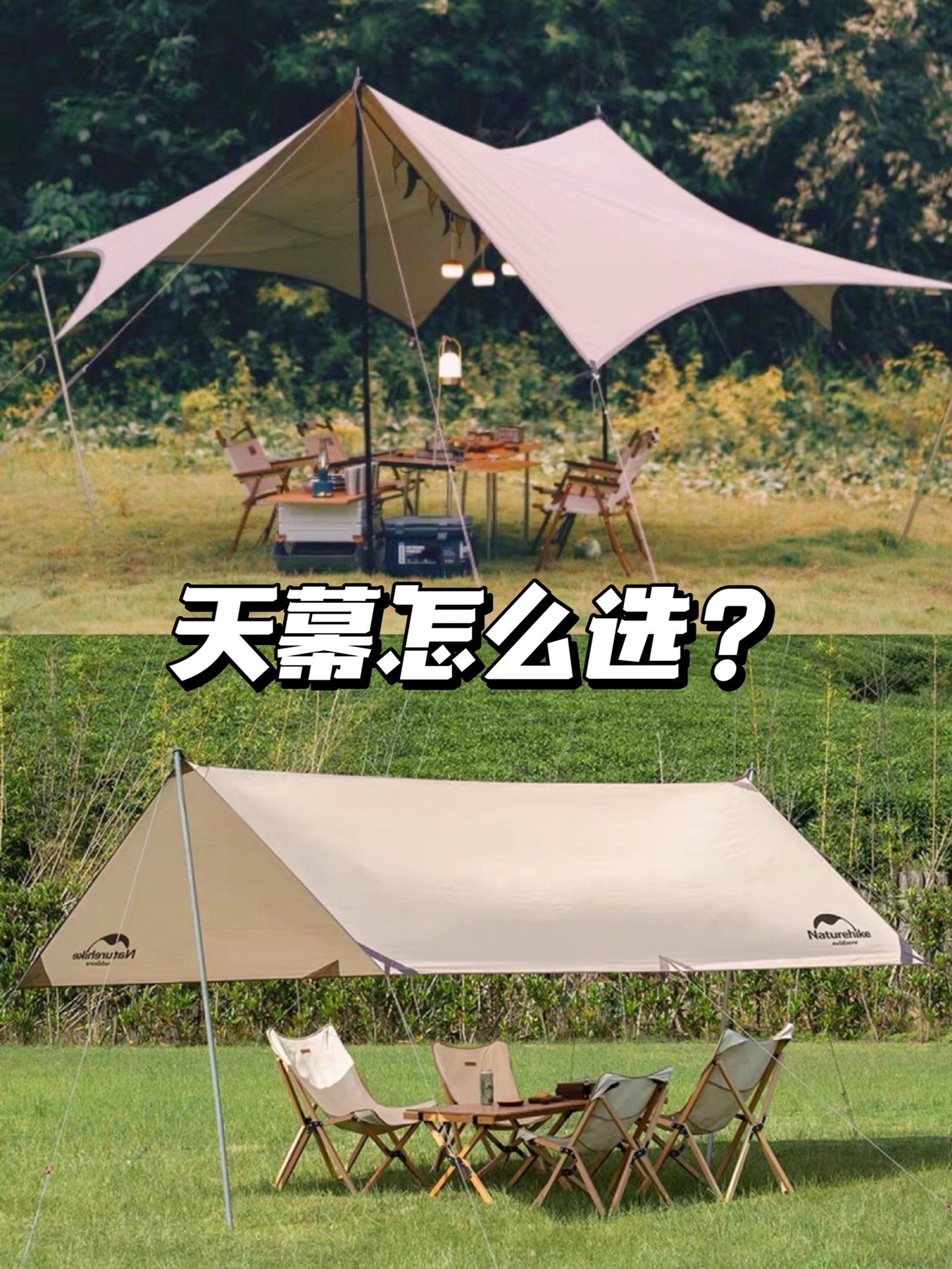大数据请把我推给露营新手小白。