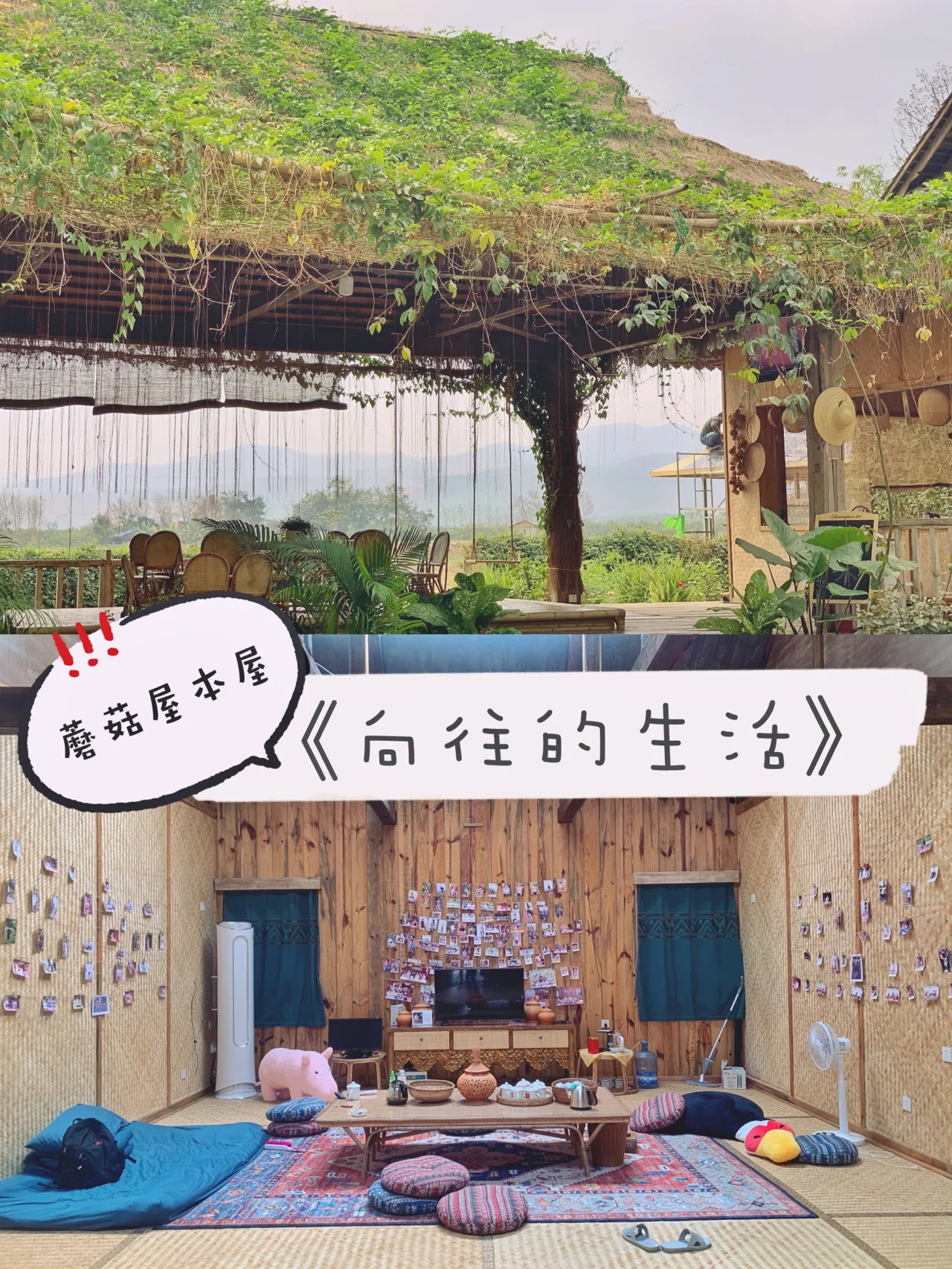 西双版纳｜曼远村｜《向往的生活》取景地