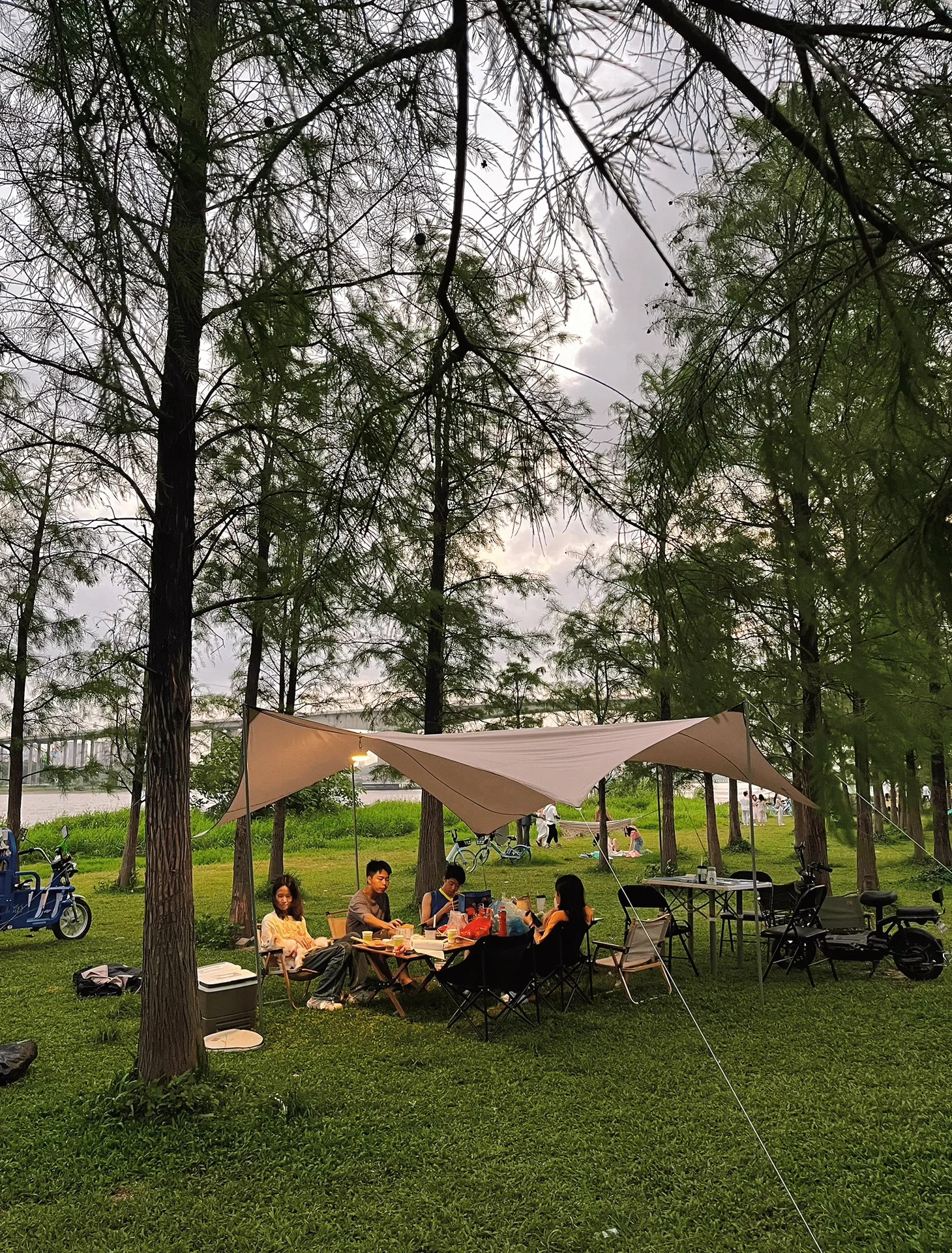 🔥大学城江边树林烧烤露营