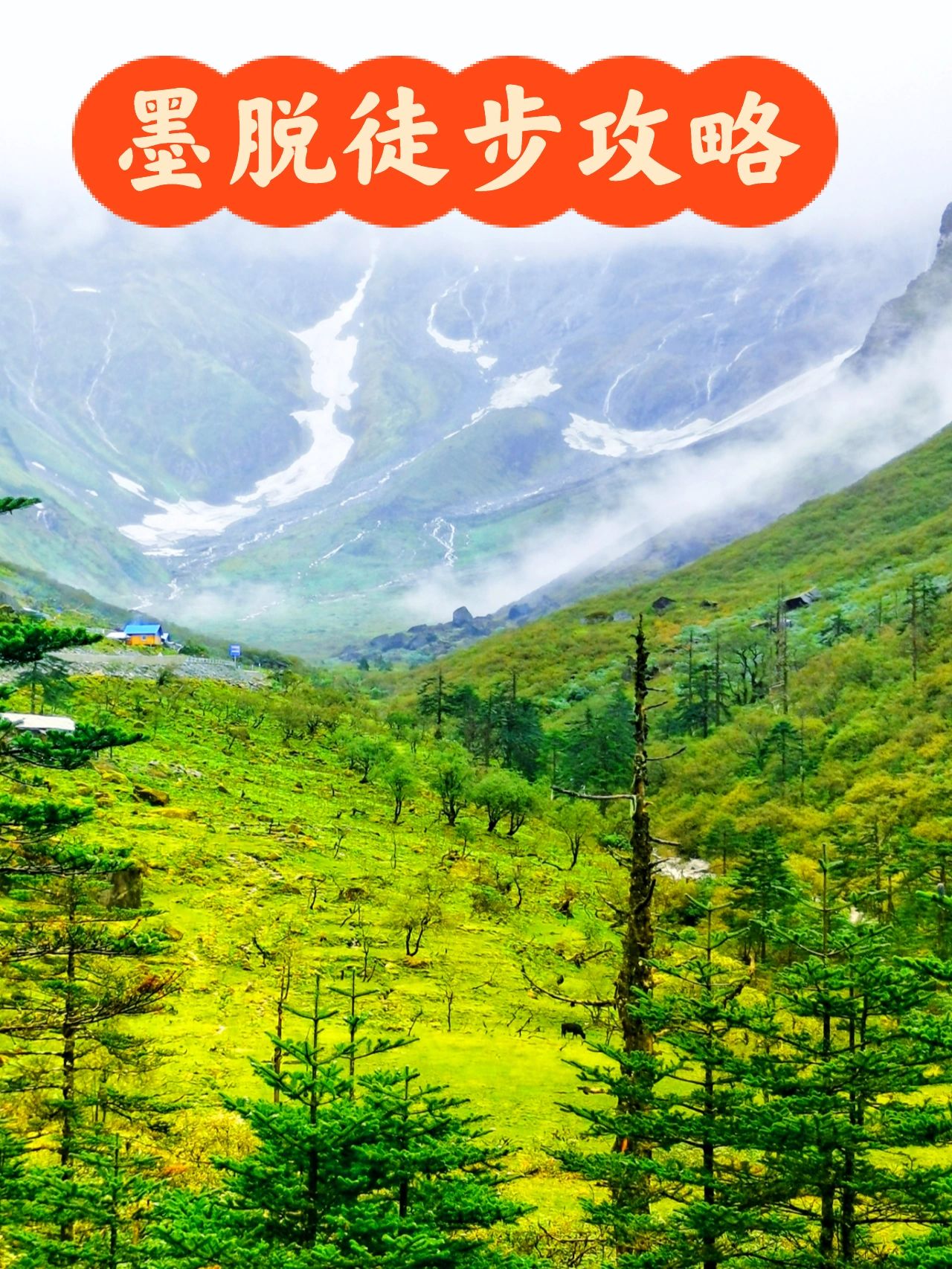 神秘的莲花净地墨脱