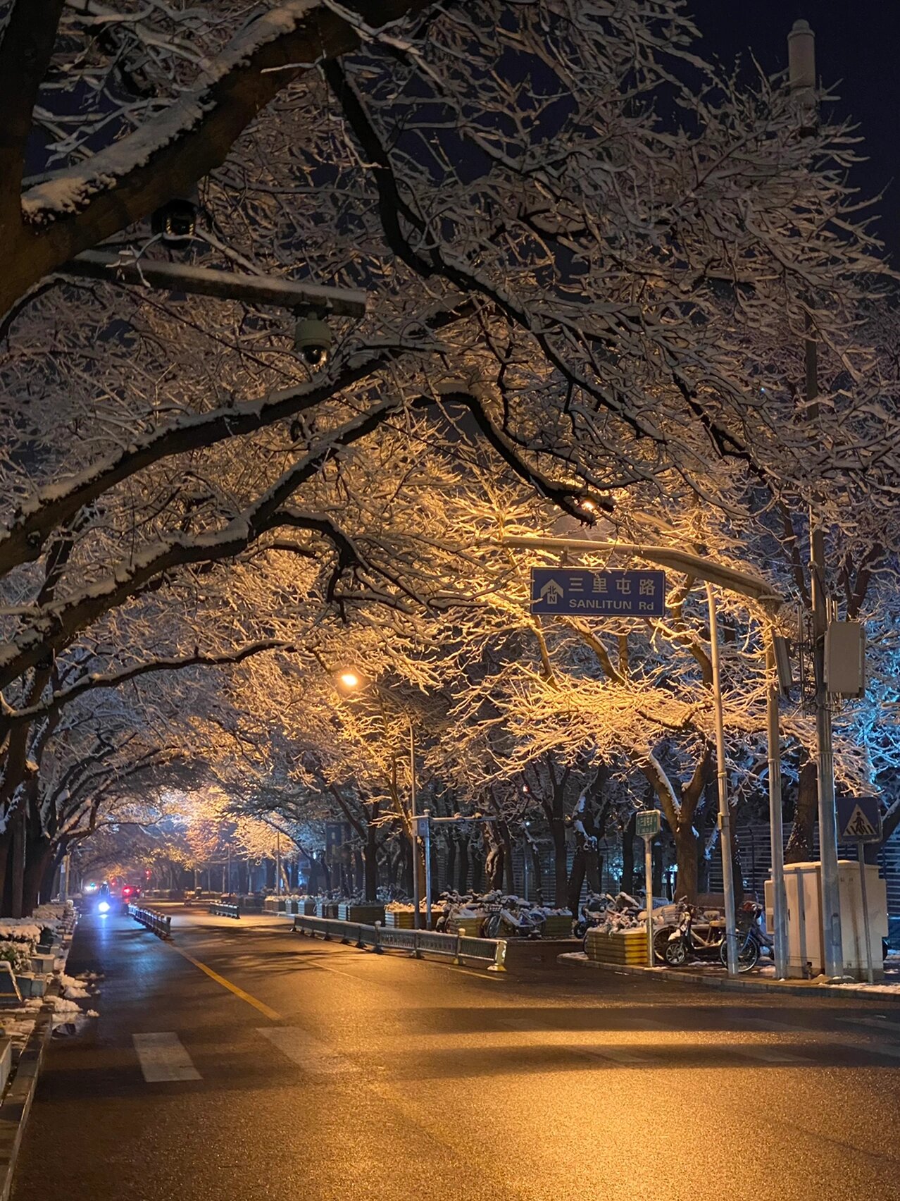 这场雪只存在了一夜，但比无数个白天都耀眼