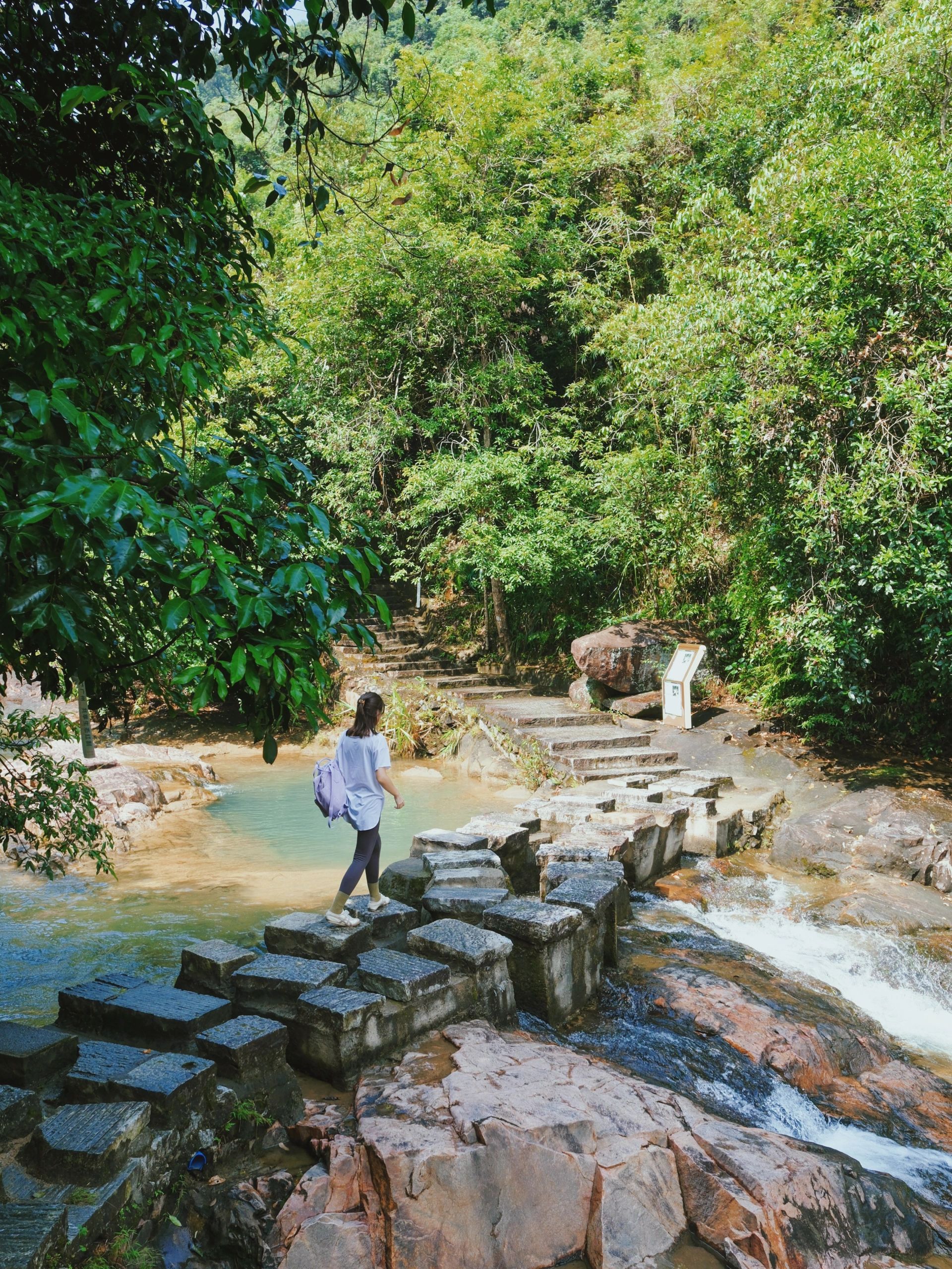 在广州！这个小众森林公园溯溪徒步太绝了~