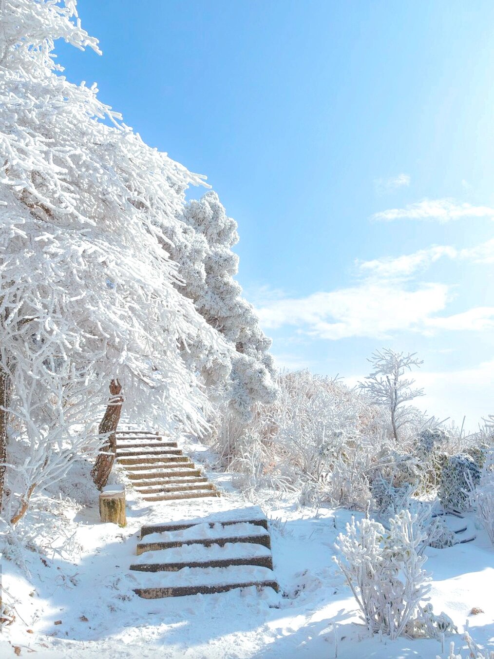 不用去东北！广深周边最美赏雪地！