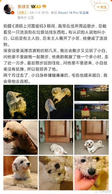 张颂文领养了流浪狗

“一只流浪狗在垃圾站找东西吃”
“以前是有主人的，后来主人